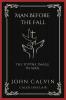 Man Before the Fall: The Divine Image in Man (Grapevine Press)