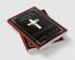 Calvin on Original Sin: The Effect of the Fall and the Need for Redemption (Grapevine Press)