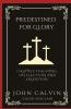 Predestined for Glory: Calvin's Teaching on Election and Salvation (Grapevine Press)