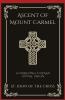 Ascent Of Mount Carmel: Journeying Toward Divine Union (Grapevine Press)