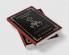 Epistle to the Romans: The Christian Hope Resilient Under Fire (Grapevine Press)