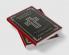 The Mystery of Providence: Insights into God's Governance (Grapevine Press)
