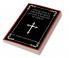 Two Letters to Theodore After His Fall A Message of Grace (Grapevine Press)