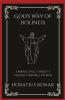 God's Way of Holiness: Embracing Christ's Transforming Power (Grapevine Press)