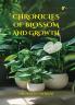 CHRONICLES OF BLOSSOM AND GROWTH