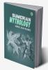 Sumerian Mythology