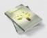 THE BUSINESS OF SUSTAINABILITY: STRATEGIES FOR PROFIT AND IMPACT