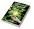 SUSTAINABILITY LEADERSHIP: INSPIRING CHANGE IN A COMPLEX WORLD