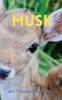 Musk