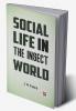 Social Life in the Insect World
