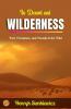 In Desert and Wilderness by Henryk Sienkiewicz: Peril Persistence and Pursuits in the Wild