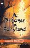 A Prisoner in Fairyland (The Book That Uncle Paul Wrote)