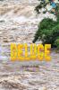 Deluge