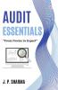Audit Essentials From Novice To Expert