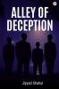 Alley of Deception