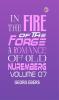 In the Fire of the Forge: A Romance of Old Nuremberg Volume 07