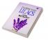 Under the Lilacs: Louisa May Alcott's Heartwarming Children's Novel and Whimsical Adventures