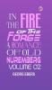 In the Fire of the Forge: A Romance of Old Nuremberg   Volume 02