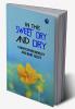 In the Sweet Dry and Dry