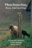 Moschusochse  Bison Schaf und Ziege