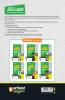 All In One CBSE Social Science Class 6th | For CBSE Exams 2025 | Based On Latest NCERT