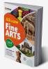 All in one CBSE Fine Arts 11th
