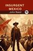 Insurgent Mexico
