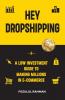 Hey Dropshipping