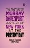 The Mystery of Murray Davenport: A Story of New York at the Present Day