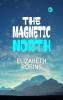 The Magnetic North