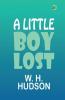 A Little Boy Lost