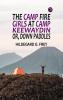 The Camp Fire Girls at Camp Keewaydin; Or Down Paddles