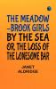 The Meadow-Brook Girls by the Sea; Or The Loss of The Lonesome Bar