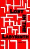 LOST IN THE LABYRINTH