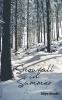 Snowfall In Summer