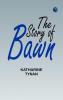 The Story of Bawn