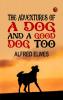The Adventures of a Dog and a Good Dog Too