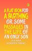 A Flat Iron for a Farthing; or Some Passages in the Life of an only Son