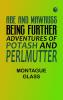 Abe and Mawruss: Being Further Adventures of Potash and Perlmutter