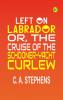 Left on Labrador; or The cruise of the Schooner-yacht Curlew