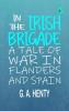 In the Irish Brigade: A Tale of War in Flanders and Spain