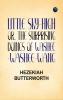 Little Sky-High; Or The Surprising Doings of Washee-Washee-Wang