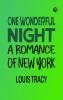 One Wonderful Night: A Romance of New York