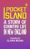 Pocket Island: A Story of Country Life in New England
