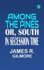 Among the Pines or South in Secession Time