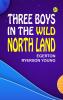 Three Boys in the Wild North Land
