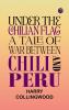 Under the Chilian Flag: A Tale of War between Chili and Peru