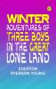 Winter Adventures of Three Boys in the Great Lone Land