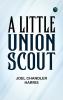 A Little Union Scout