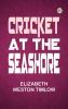Cricket at the Seashore